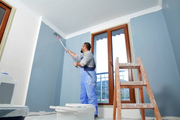 Best Touch-Up Painting  in Idylwood, VA